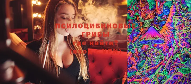 сколько стоит  Кстово  Псилоцибиновые грибы Magic Shrooms 